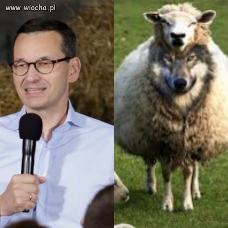 Znajdź różnicę