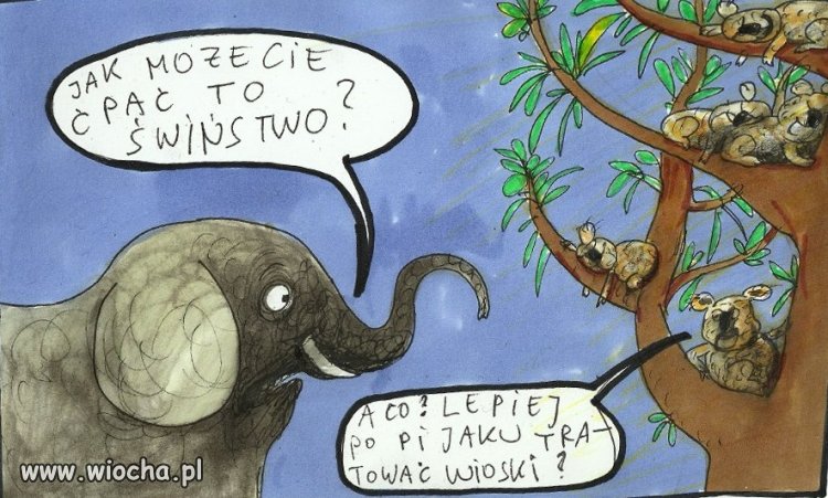 Polaków rozmowy
