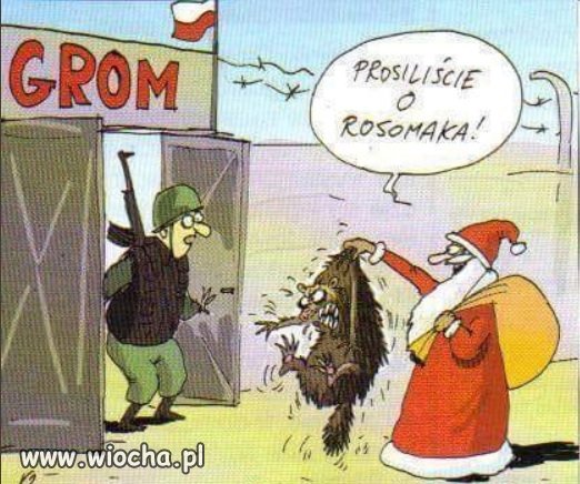 Tak wygląda dzisiaj dozbrajanie armii.