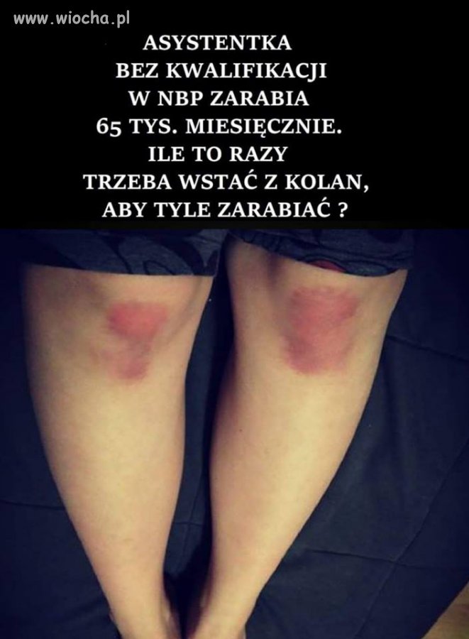 Echa kariery zawodowej