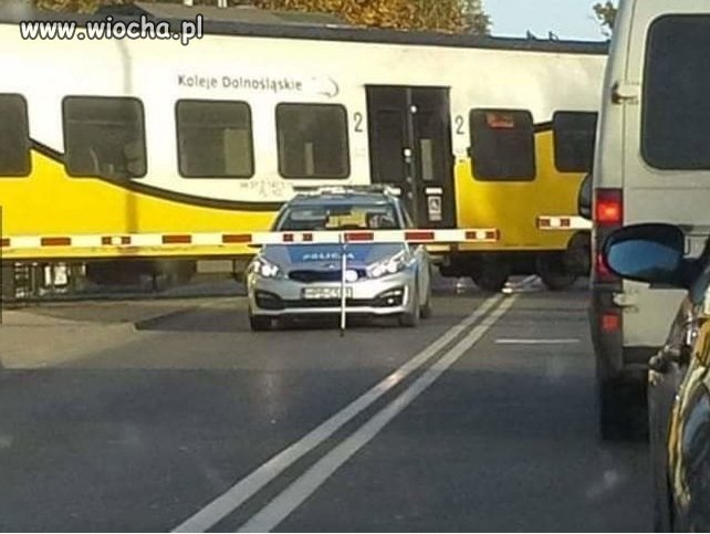 Nosił wilk razy kilka ...
