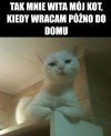 Gdzie byłeś?