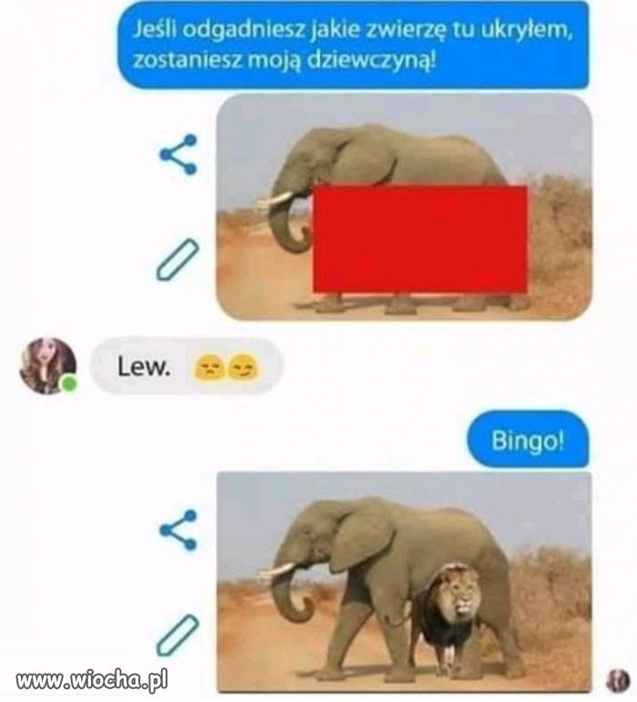 Zgadła