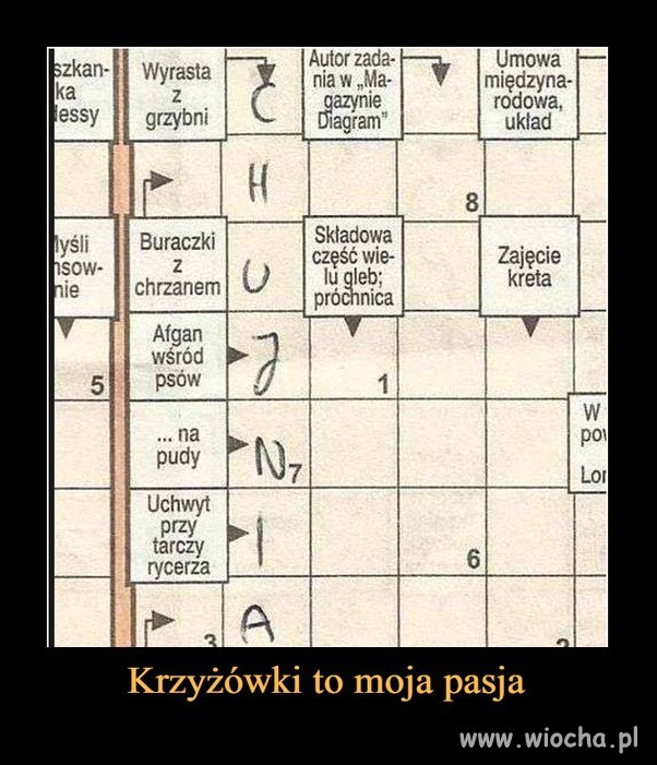 Pasuje, idealnie pasuje