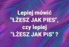 Jak to będzie