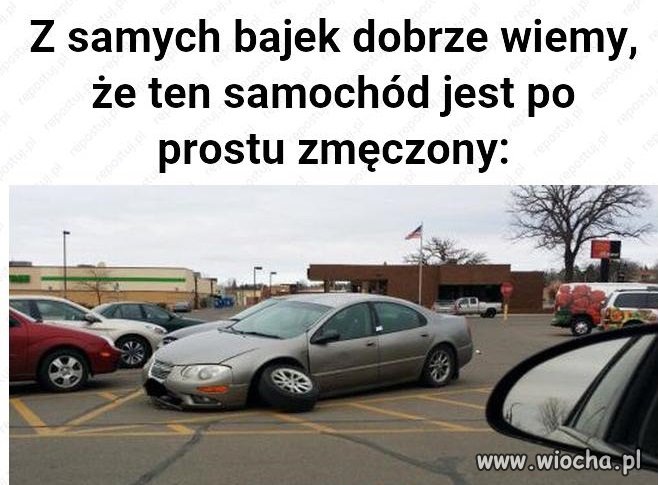 Coś w tym jest