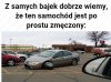 Coś w tym jest
