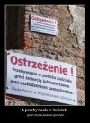 No wreszcie napisali prawdę ...