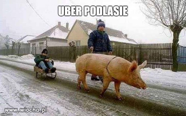 Kulig