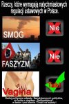 Tyle w temacie