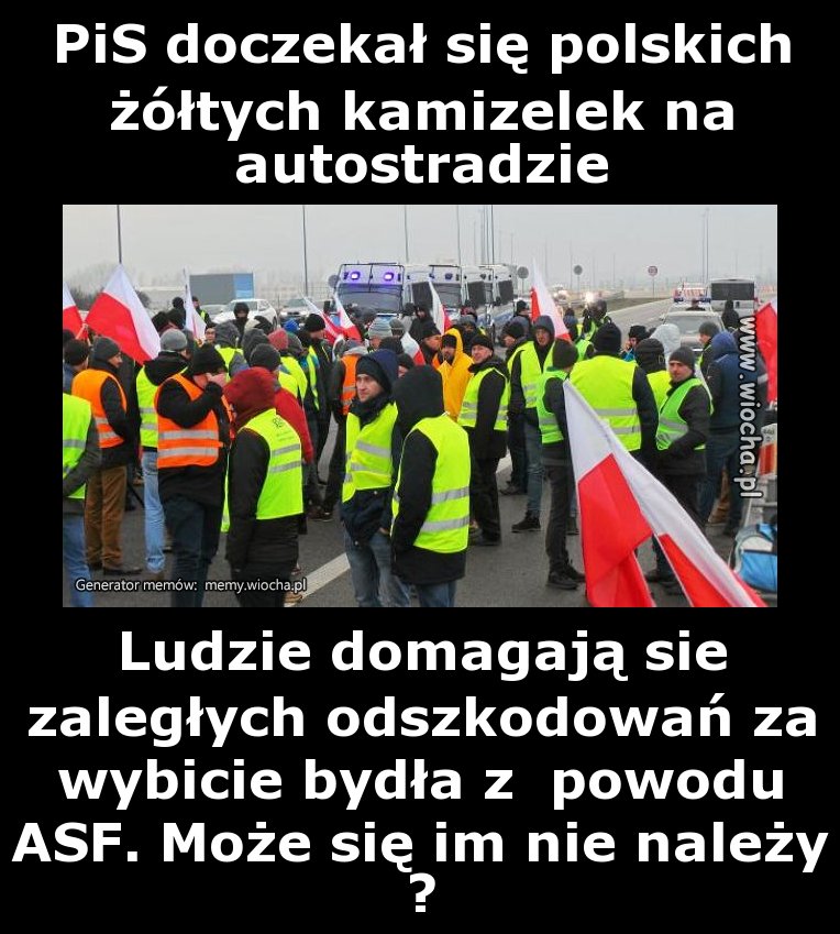 PiS doczekał się polskich żółtych kamizelek na