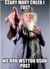 Albus Dumbledore