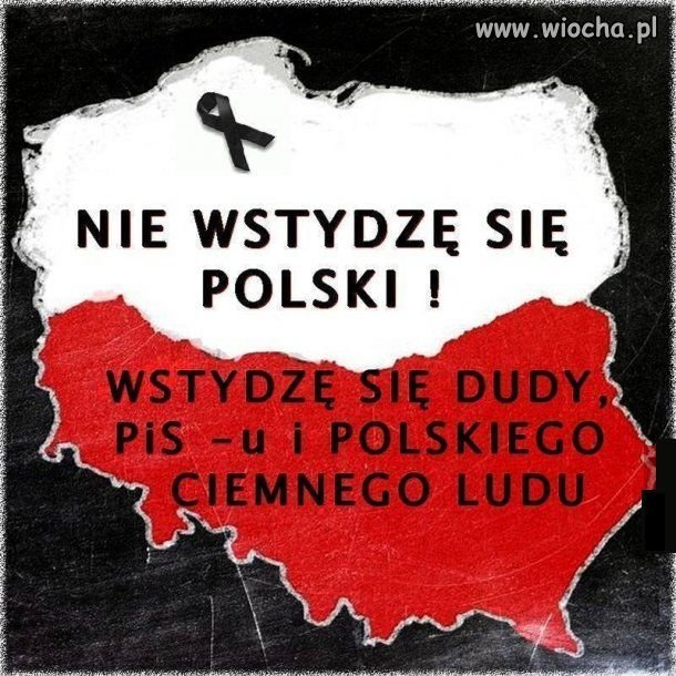 Wstydzę się za tych 