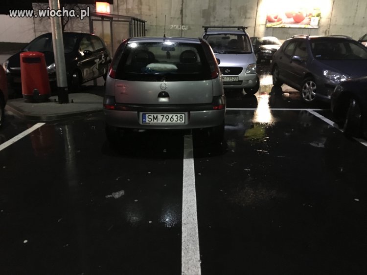 Miszcz