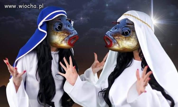 Śrut nocnej ciszy...
