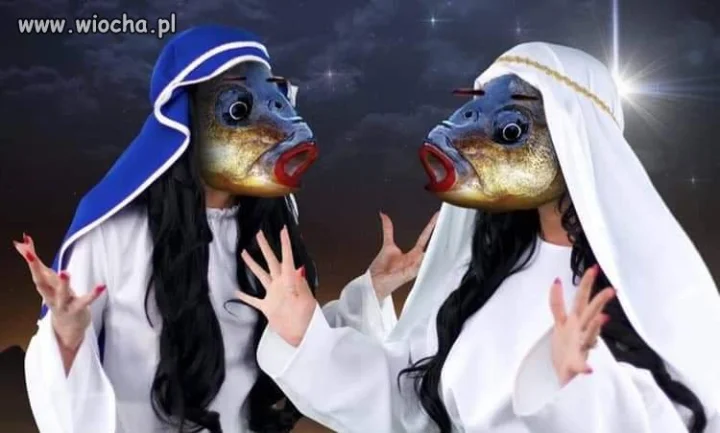 Śrut nocnej ciszy...
