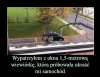 Gryzoń