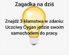 Zagadka