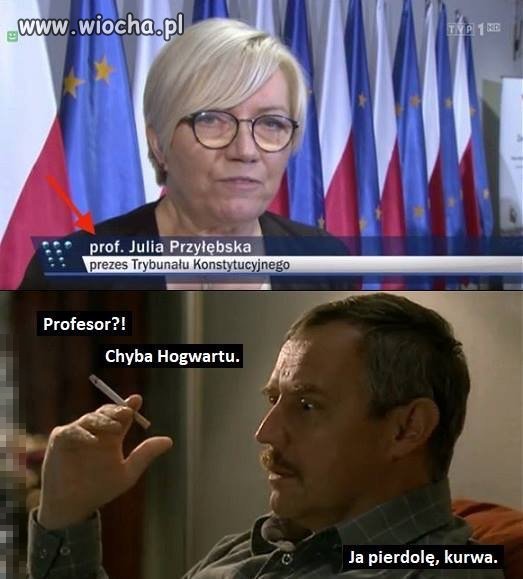 Z cyklu poczet pisowskich profesorów 