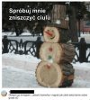 Odporny