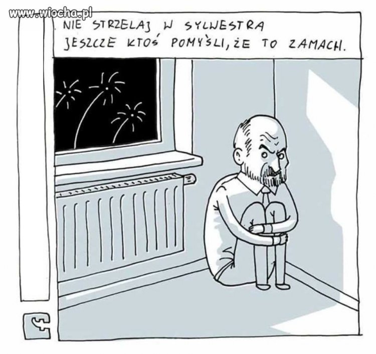 Jutro ciężki dzień dla Antoniego i spółki
