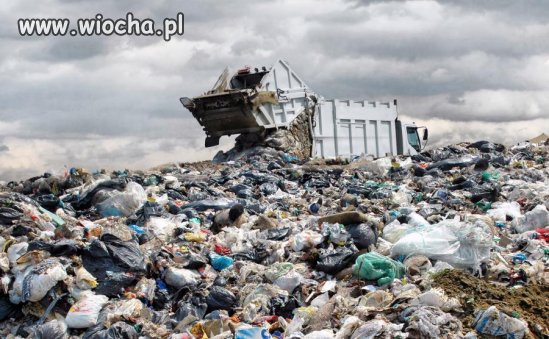 Już niedługo tak skończą postanowienia noworoczne 