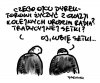 Setki są fajne