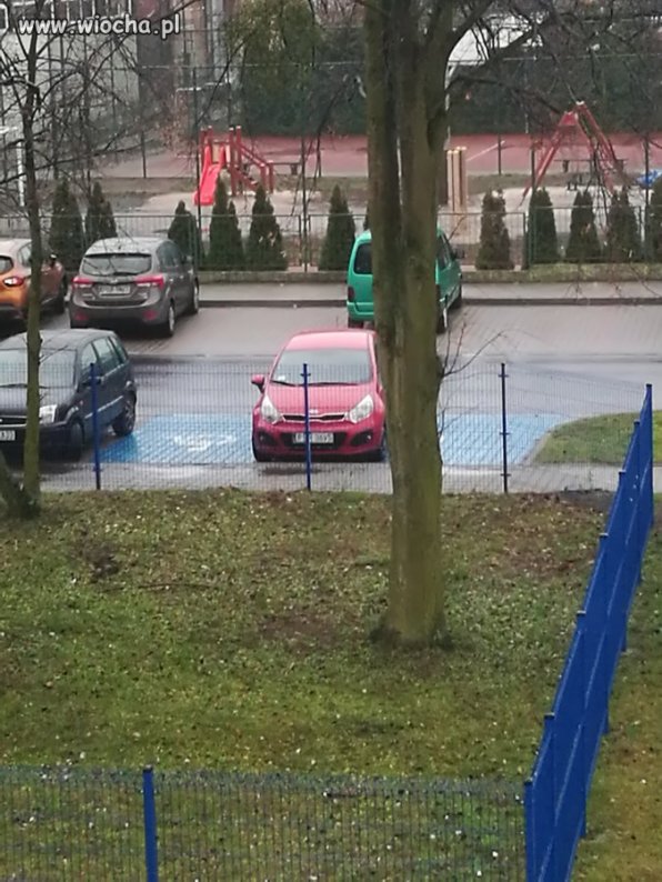 Mistrzyni parkowania Środa wlkp.