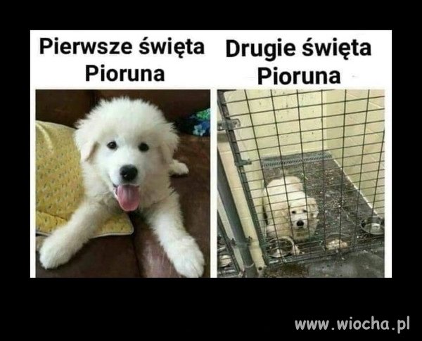Przemyśl