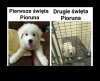 Przemyśl