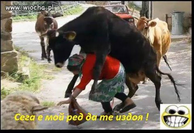 Teraz moja kolej, aby cię ...
