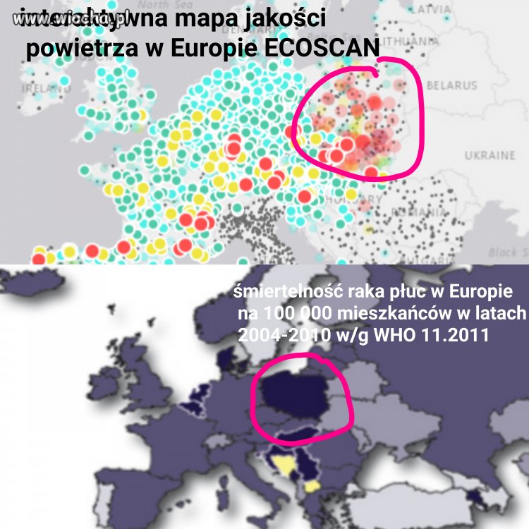 WINCYJ WUNGLA,  kupujmy świnty wungiel 