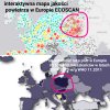 WINCYJ WUNGLA,  kupujmy świnty wungiel 