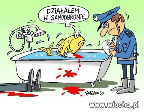 Paradoks karpia ...