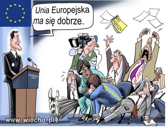 Reakcja mediów