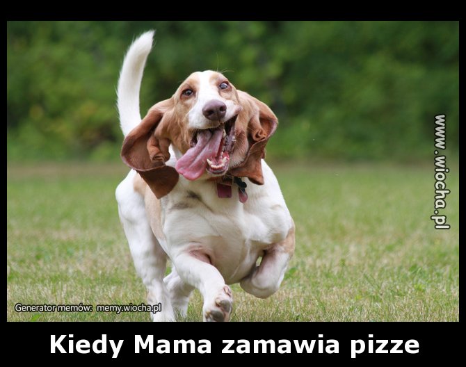 Kiedy Mama zamawia pizze