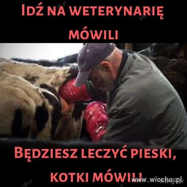 Idź na weterynarie