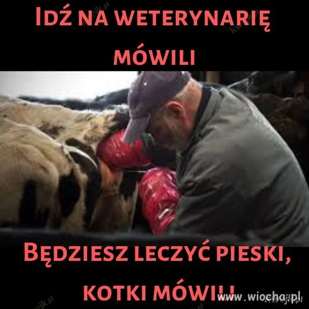 Idź na weterynarie