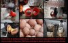 Made in China