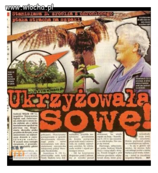 Bez komentarza