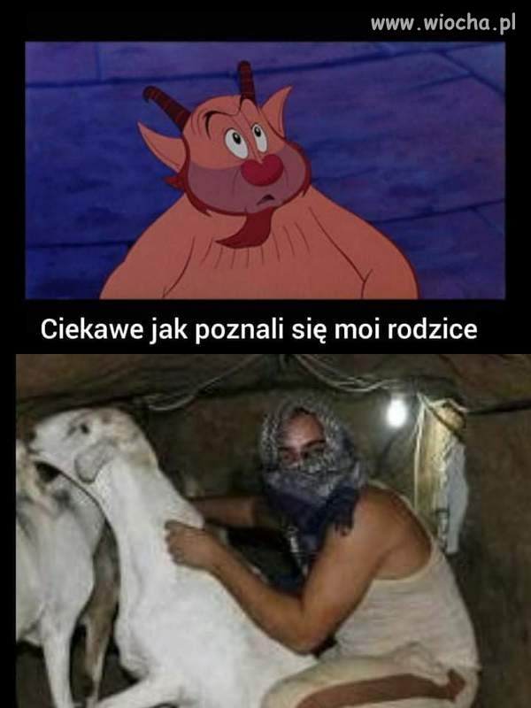 Zagadka