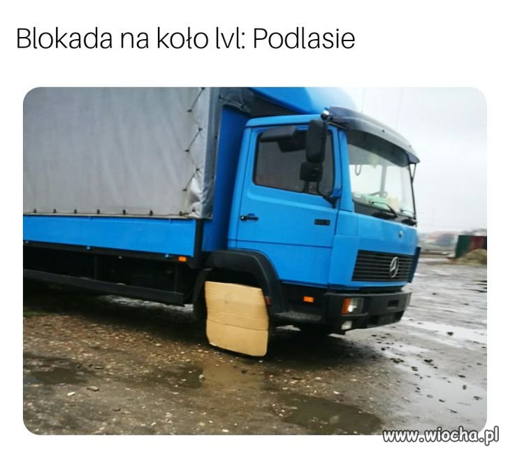 I znowu Podlasie
