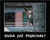 Biedne zwierzę