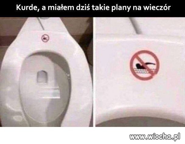 Plany