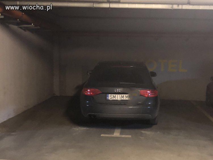Mistrz kierownicy 