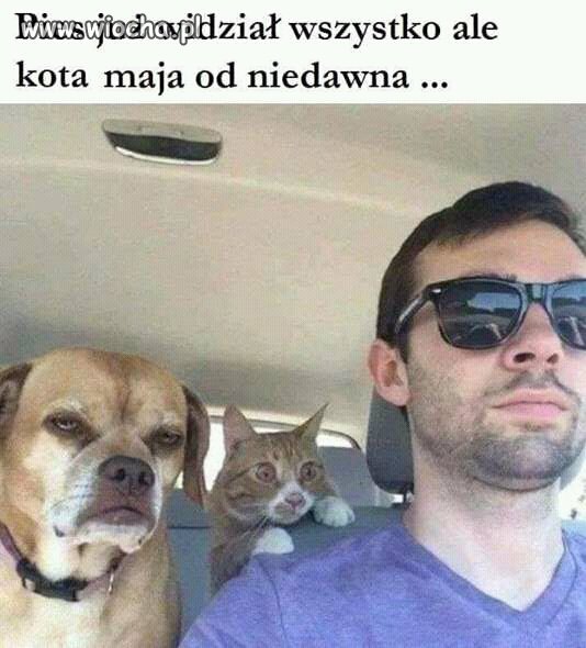 Przyzwyczai  
