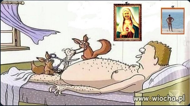 Las nie zapomina Szyszko...