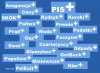 Plusy władzy