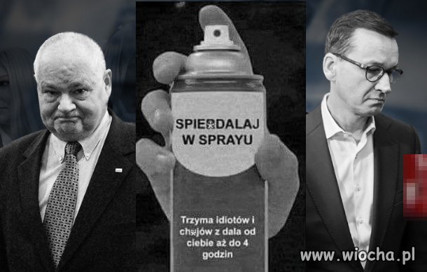 Warto kupić