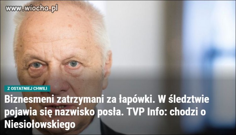 Entomolog w sieci